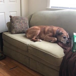 Meet your Posher, Marisa